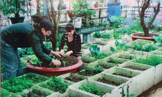 Vai trò Hội LHPN các cấp trong triển khai, thực hiện Chỉ thị 03 của Bộ Chính trị