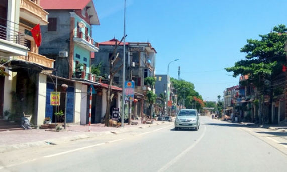 Tân Chi bừng sáng