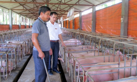 Tăng trưởng tín dụng, chất và lượng song hành