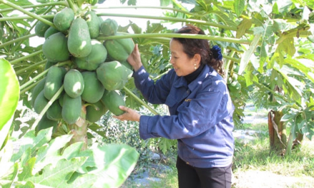 Phụ nữ Đại Xuân tích cực tham gia phát triển kinh tế, xây dựng nông thôn mới 