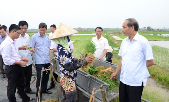 Lãnh đạo UBND tỉnh kiểm tra tiến độ sản xuất vụ mùa