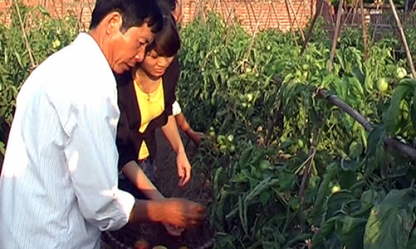 Nông dân Gia Bình góp sức xây dựng nông thôn mới