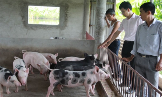 Kết nối dòng chảy tín dụng hộ cận nghèo