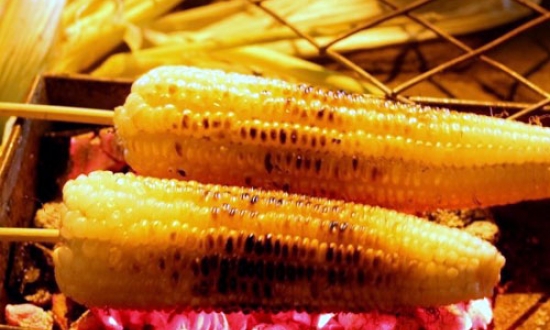Mùi ngô nướng xém