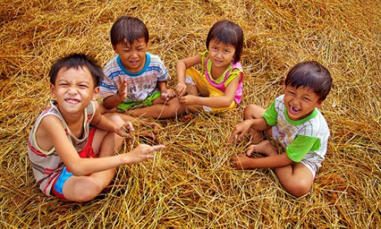 Mùi rơm