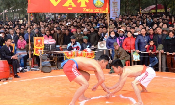 Đặc sắc sới vật hội làng Bắc Ninh
