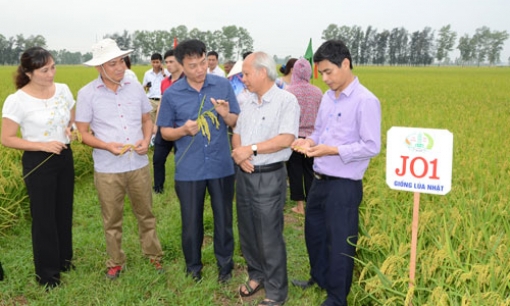 Lương Tài gắn phát triển kinh tế với xây dựng Nông thôn mới