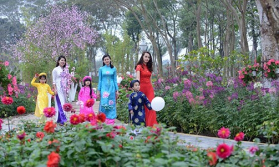 Mừng Xuân mới, kỳ vọng mới