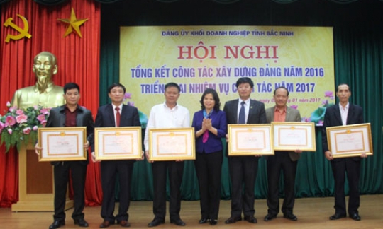 Đảng ủy Khối Doanh nghiệp tỉnh: Triển khai nhiệm vụ năm 2017