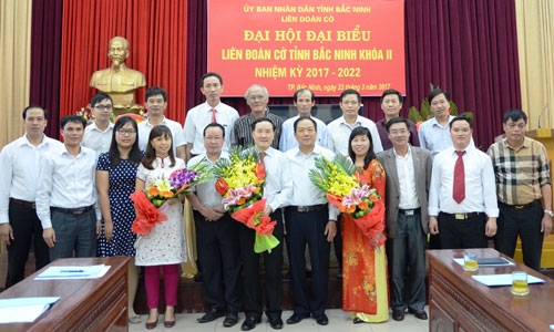 Đại hội Đại biểu Liên đoàn Cờ tỉnh lần thứ II
