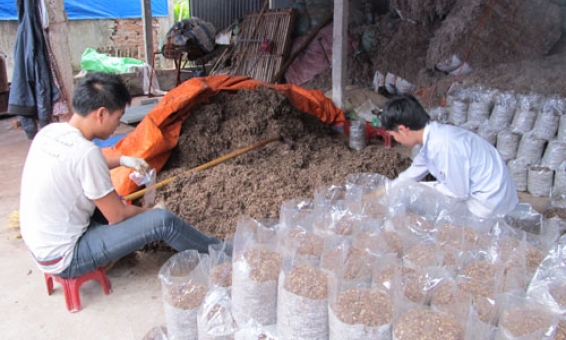 Tiên Du: Gần 2.300 khách hàng được vay vốn phát triển kinh tế