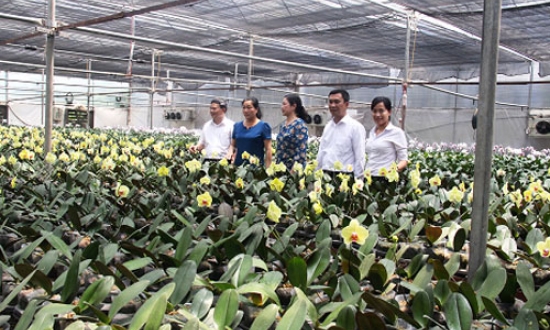 Lãnh đạo Agribank Bắc Ninh và Hội Liên hiệp Phụ nữ tỉnh thăm, tìm hiểu một số mô hình vay vốn tại Tiên Du