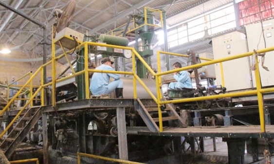 Khẳng định vai trò tổ chức Đảng trong doanh nghiệp