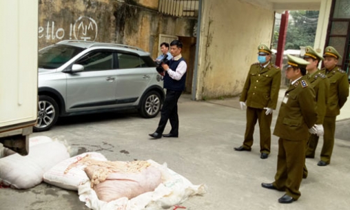 Phát hiện, xử lý 6 vụ vận chuyển thực phẩm tươi sống không rõ nguồn gốc, bị ôi thiu, biến đổi màu sắc