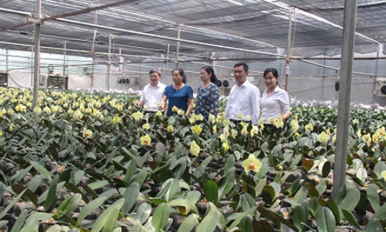 Tiên Du bố trí 138 tỷ đồng hoàn thiện các tiêu chí Nông thôn mới