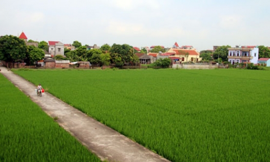 Xuân Lai ngày mới
