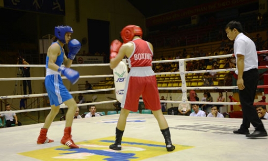 Hơn 200 võ sỹ tranh tài tại giải Vô địch Boxing nam, nữ toàn quốc 