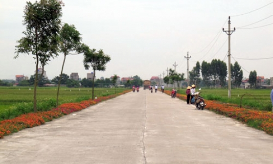 Đường hoa