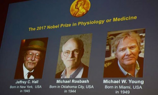 Ba nhà khoa học Mỹ giành Nobel Y học 2017