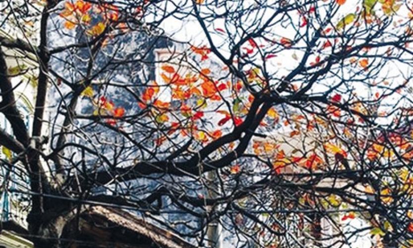 Khoảnh khắc bình yên