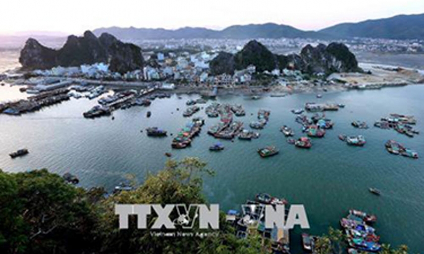 Hãy thể hiện tình yêu nước một cách sáng suốt!