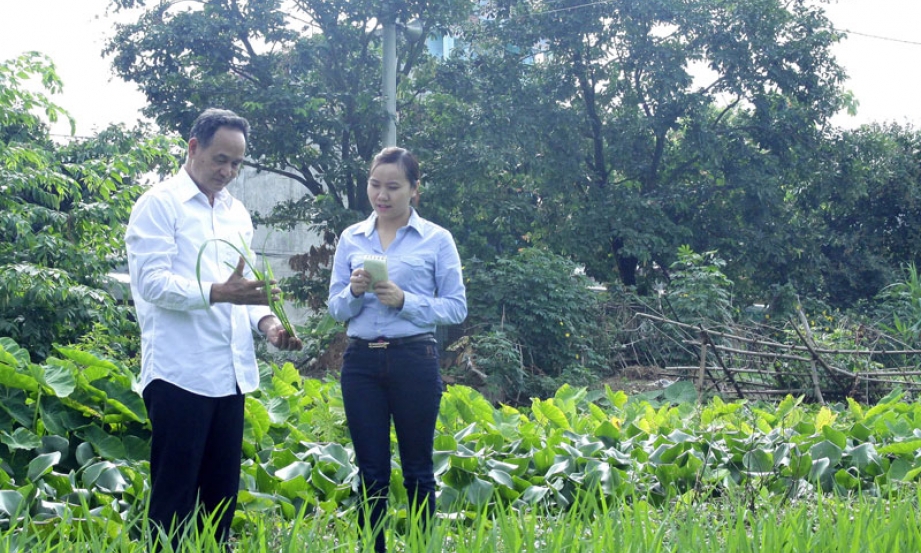 Khát vọng thời bình
