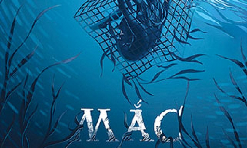 “Mắc kẹt”