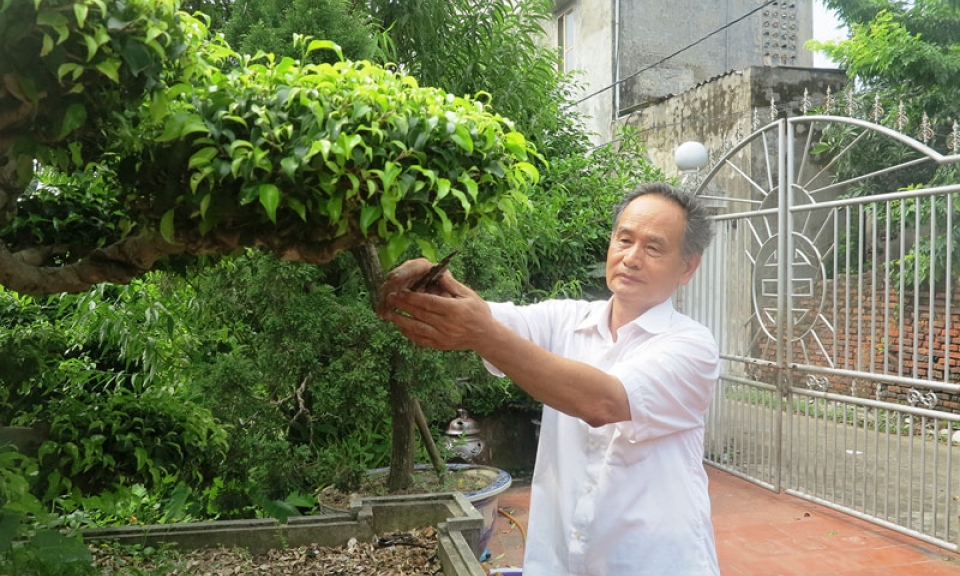 Tuổi cao chí càng cao