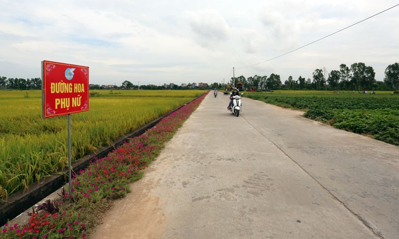 Toàn tỉnh xây dựng hơn 200 km đường hoa phụ nữ