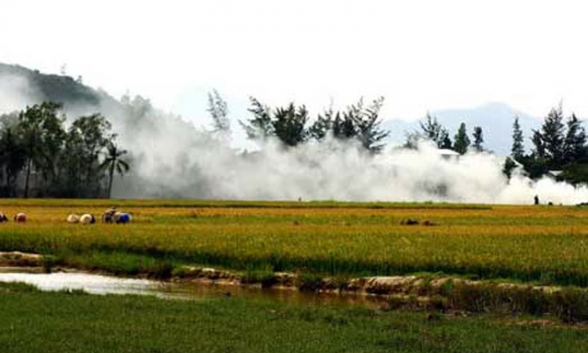 Về ngang mùa gặt