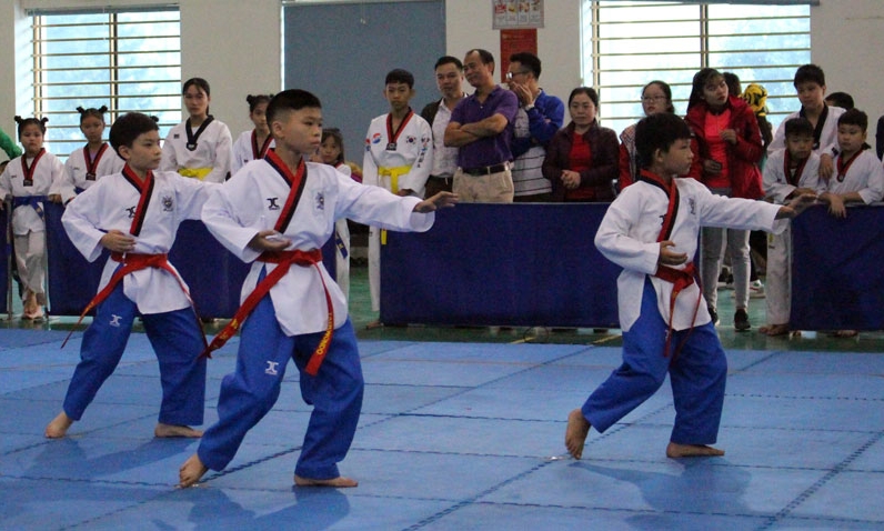 Giải “Taekwondo thanh thiếu nhi tỉnh Bắc Ninh mở rộng lần thứ III – năm 2018”