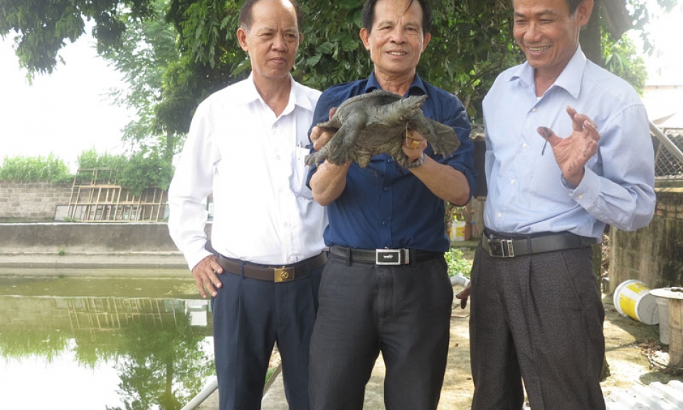 Phát huy bản lĩnh bộ đội Cụ Hồ  trên mặt trận kinh tế
