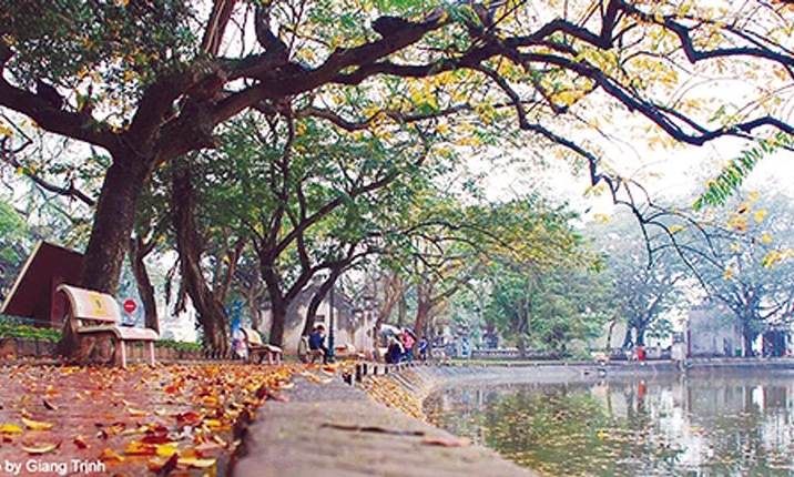 Đông về trên phố