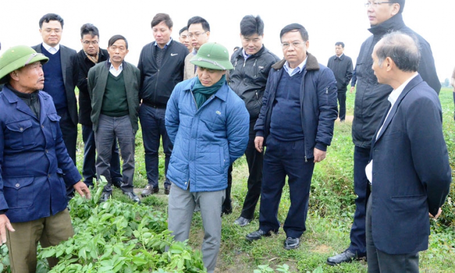 Thẩm định hồ sơ đề nghị công nhận huyện Gia Bình, Quế Võ đạt chuẩn Nông thôn mới