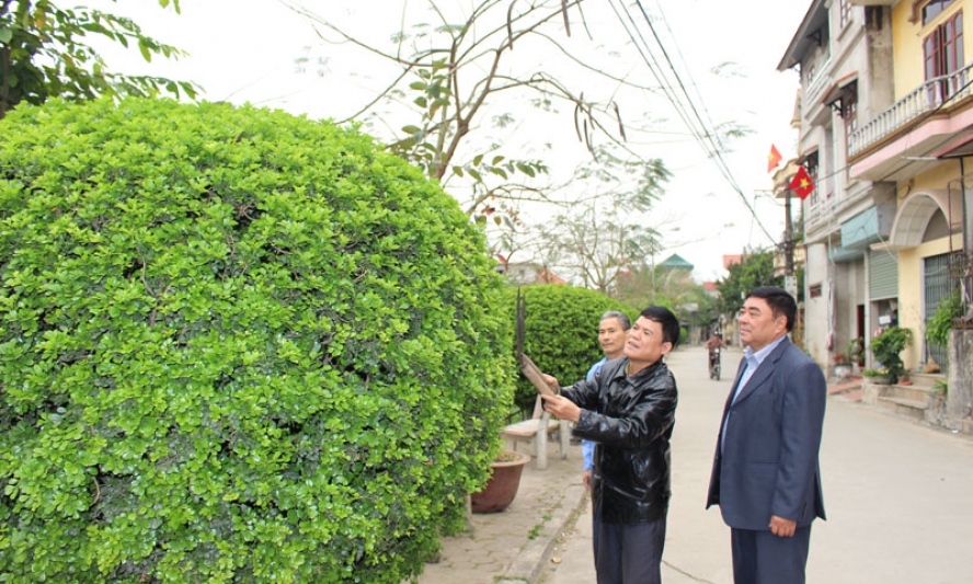 Cách làm hay ở Hội Cựu chiến binh xã Hoài Thượng