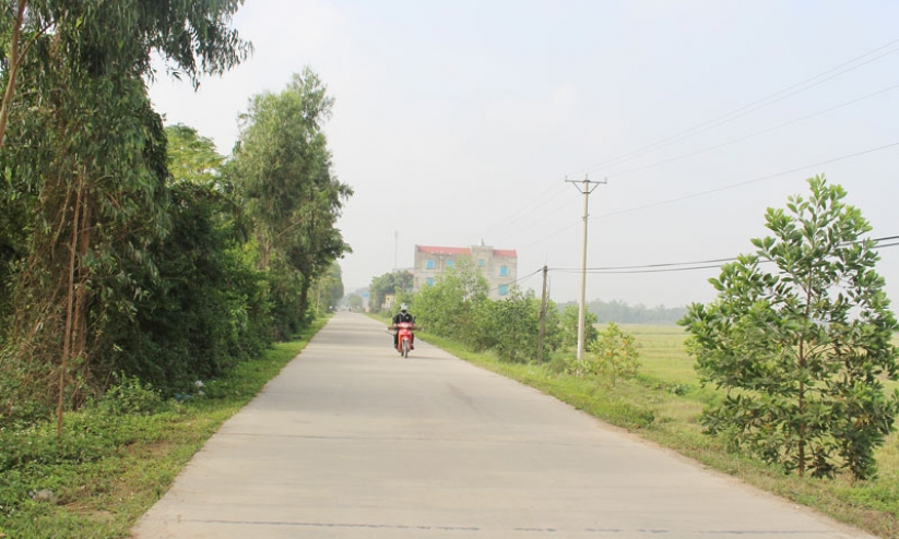 Phát huy vai trò tổ chức Đảng  trong xây dựng Nông thôn mới
