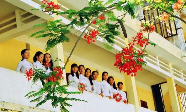 Mùa Phượng thắm