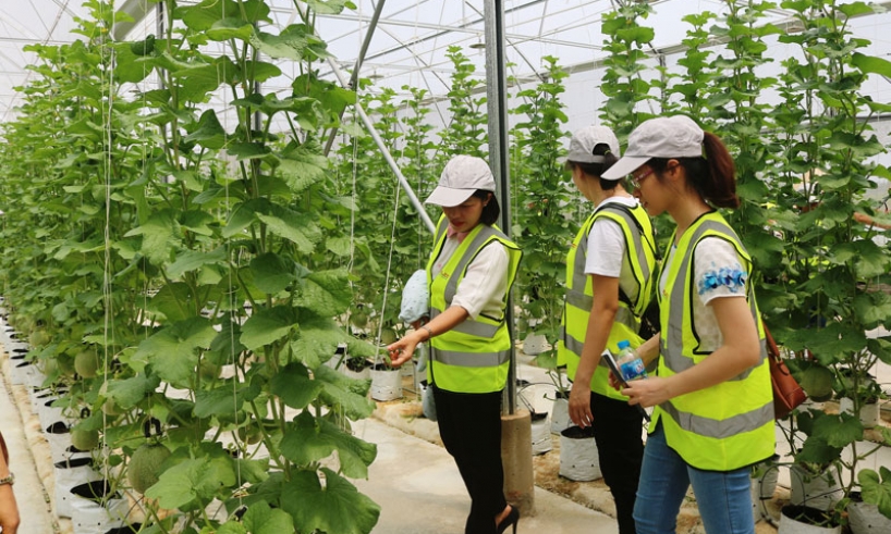 Khó khăn trong bảo đảm ATTP nông, lâm, thủy sản