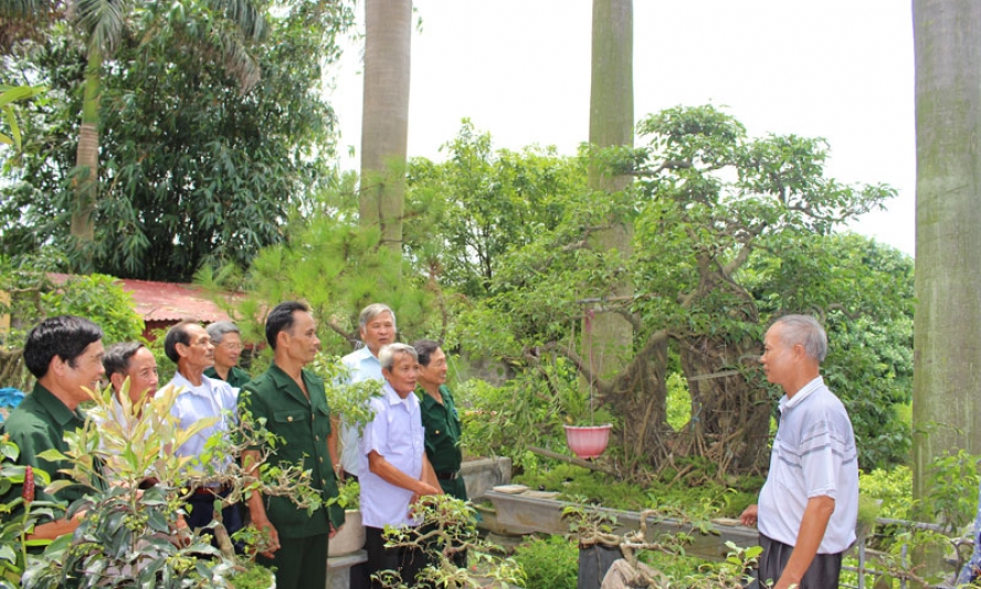 Hội Cựu thanh niên xung phong tỉnh làm theo lời Bác