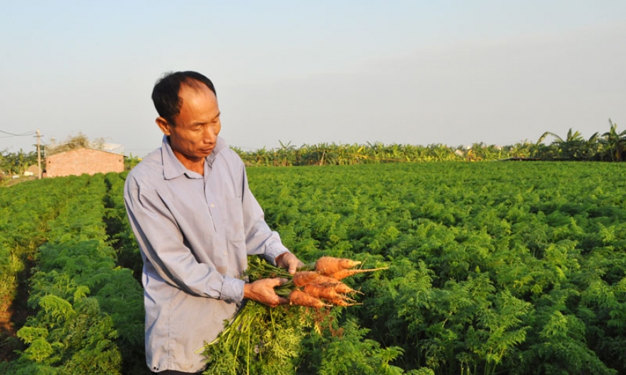 Đại Lai xây dựng Nông thôn mới kiểu mẫu