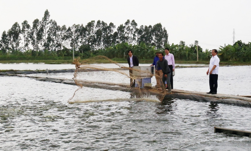 Chuyển biến tích cực trong công tác xây dựng, chỉnh đốn Đảng ở Quảng Phú