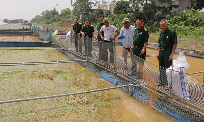 Hội Cựu chiến binh  góp sức xây dựng Nông thôn mới
