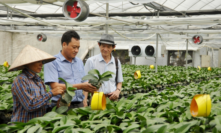 Nông nghiệp công nghệ cao “khát” nhân lực chất lượng
