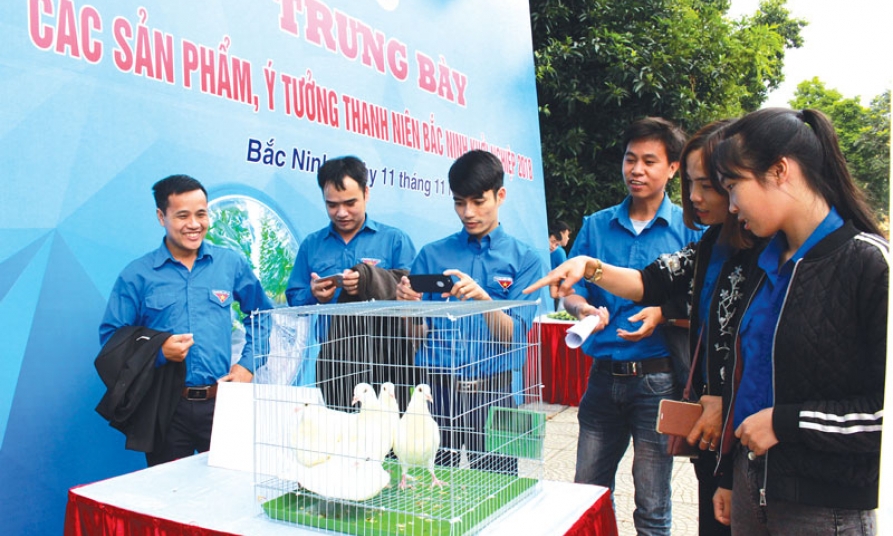 Thanh niên Bắc Ninh làm theo lời Bác