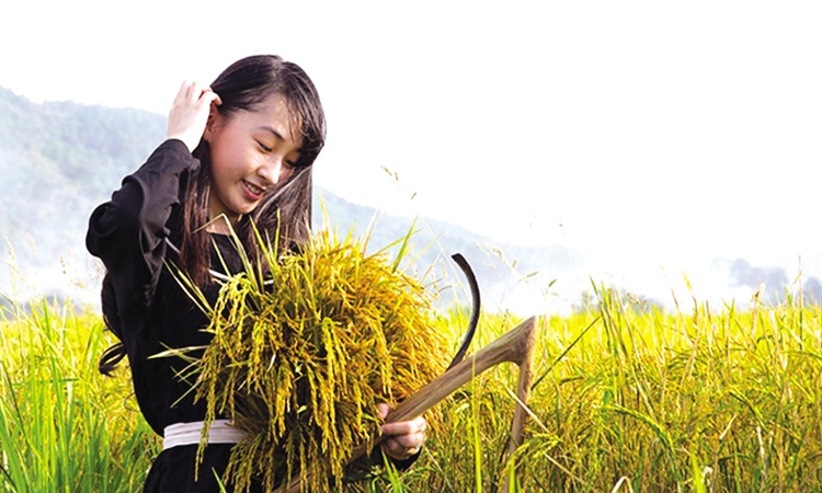 Tháng Mười thương nhớ…