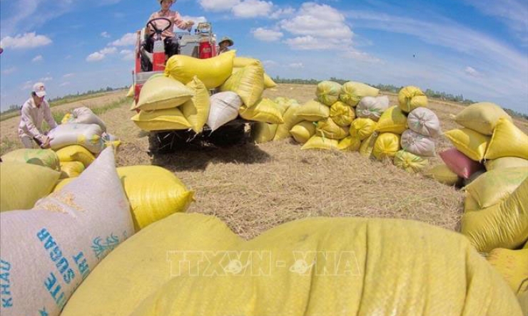 10 sự kiện nổi bật của Việt Nam năm 2019