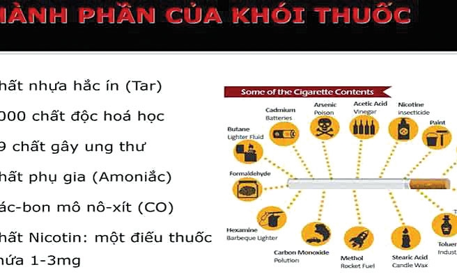 Những chất độc khủng khiếp có trong thuốc lá