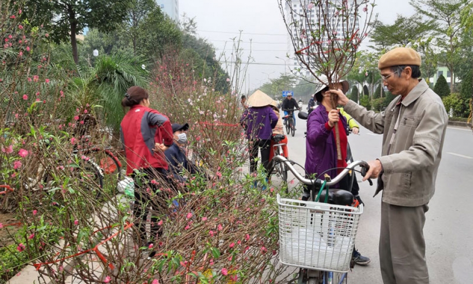 Chợ hoa những ngày giáp Tết