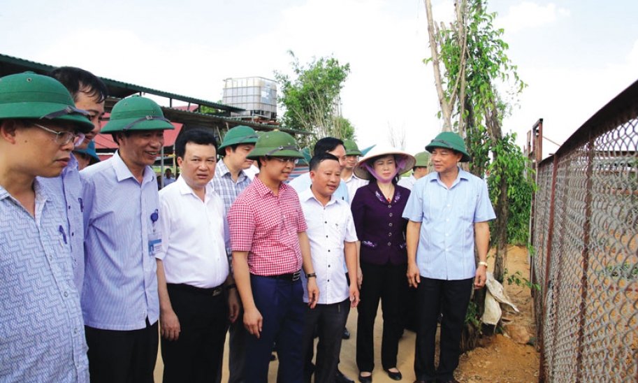 Trang trại triệu đô của chàng sinh viên văn hóa