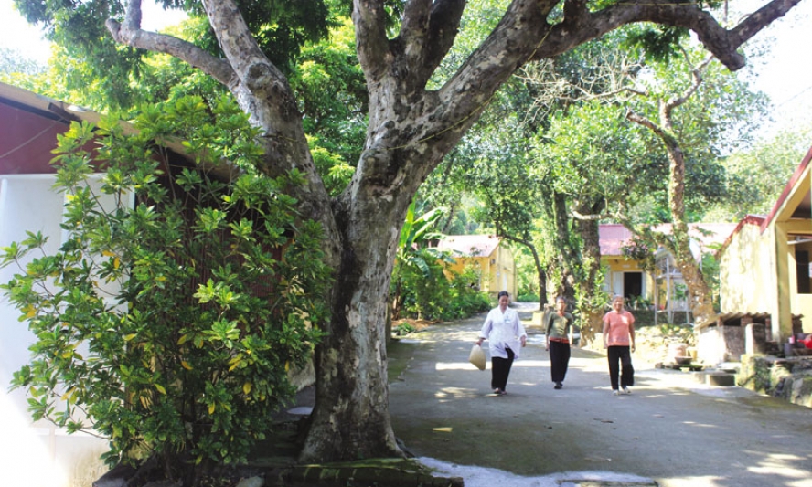 Những “mảnh ghép” Quả Cảm